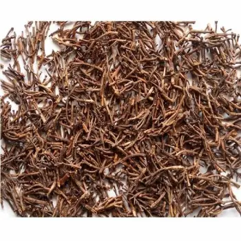  Organic Clove Stem